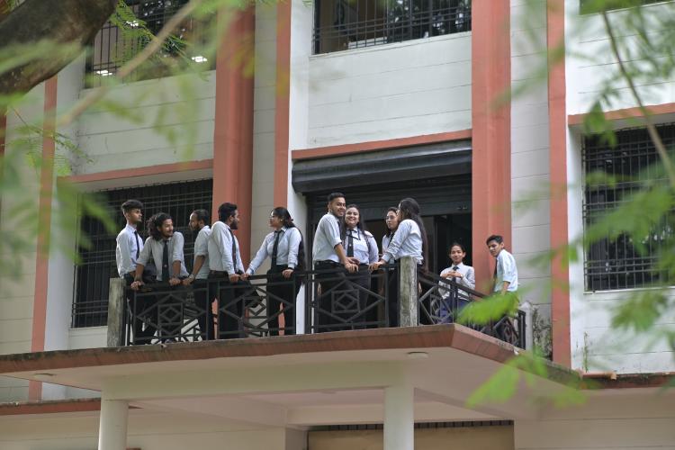 Image Here